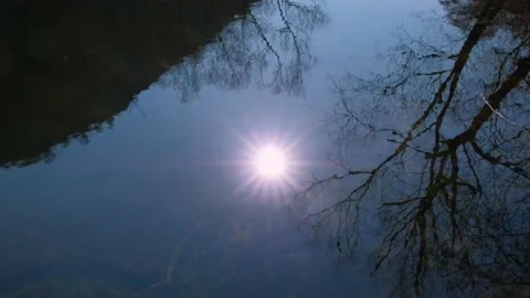 Water surface reflecting trees, sun and mountain Stock Footage 171542577