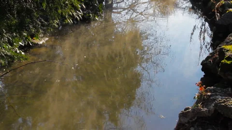 Water Surface Reflection 02 Stock Footage 1061085