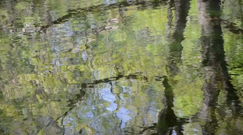 Water surface reflection Stock Footage 39346874