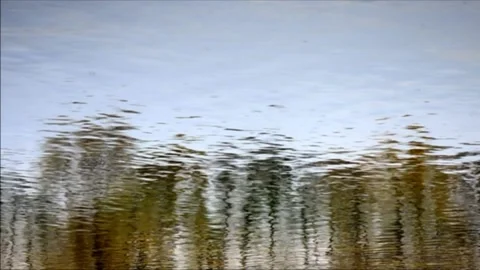 Water surface reflection Stock Footage 142298423