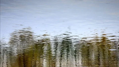 Water surface reflection Video stock 142300121