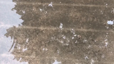 Water surface with reflection of moving tree leaf Stock Footage 125591761