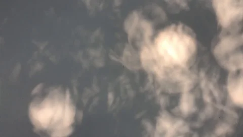 Water surface with reflection of moving tree leaf Stock Footage 125600575