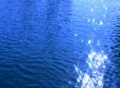 Water surface reflections 03 Loop Web Footage