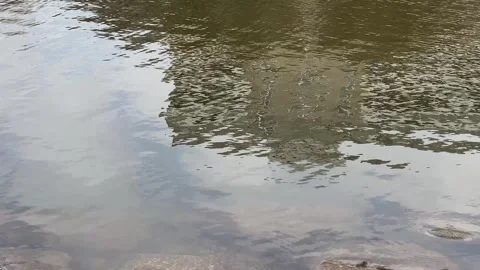 Water Surface with Reflections and Ripples Background 動画素材 331470532