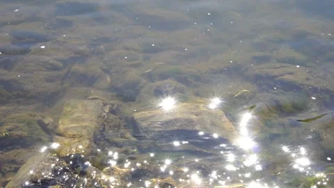 Water Surface with Reflections and Sparkles Video stock 309297363