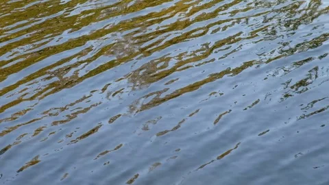 Water Surface Reflections 스톡 동영상 92853580