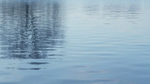 Water surface with reflections of trees Stock Footage 45453660