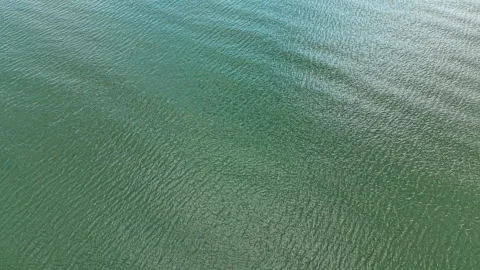 Water surface reflects light over a calm lake during mid-afternoon Stock Footage 340930300