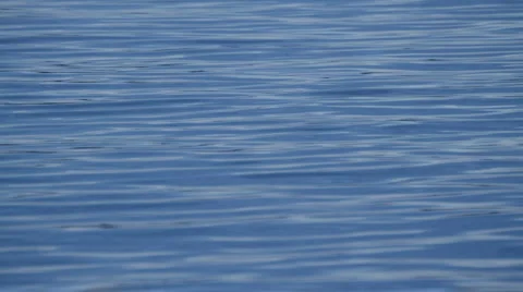 Water surface ripple Video stock 950021
