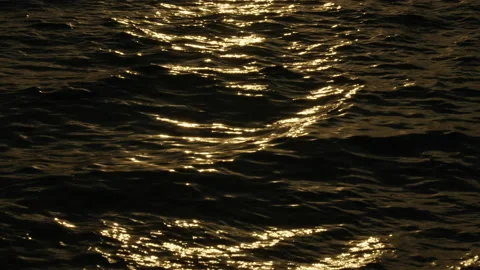 Water surface ripple. Stock Footage 221581825