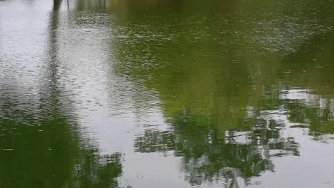 Water surface with ripple in a lake Stock Footage 83305978