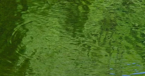 Water surface with ripples and circles Stock Footage 240901494