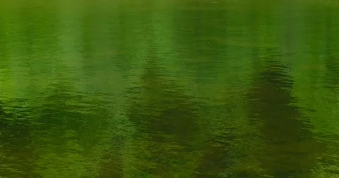 Water surface with ripples and circles Stock Footage 240901499