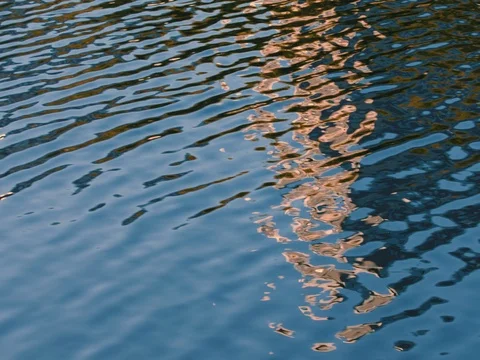 Water surface with ripples and reflections of fall Video stock 80324189
