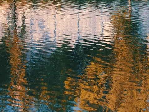 Water surface with ripples and reflections of fall Stock Footage 80324196