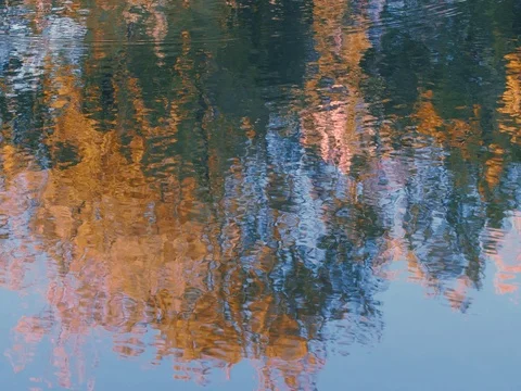 Water surface with ripples and reflections of fall Video stock 80324209