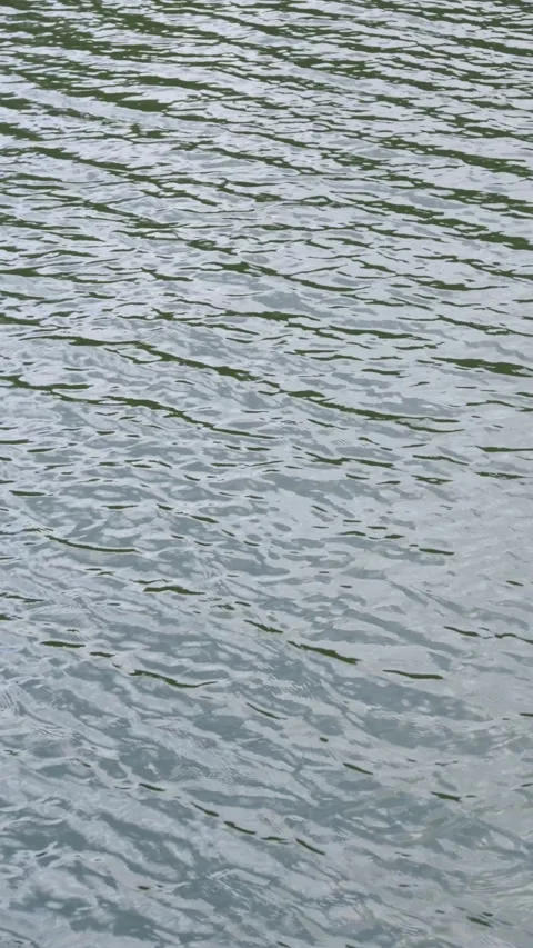 Water Surface Ripples and reflections Vidéo 336321537
