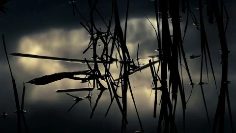 Water surface with ripples and sunset sky reflections Stock Footage 75934494