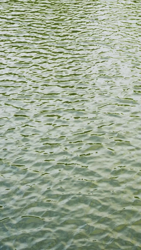 Water surface ripples and waves background, abstract nature pattern 库存影片 336321531
