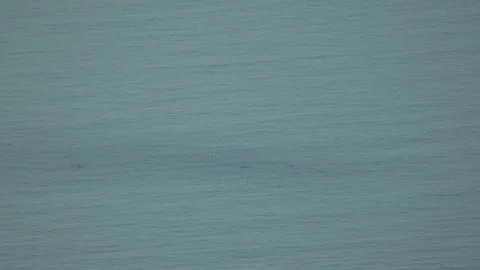 Water, Surface, Ripples: Calm blue water... | Stock Video | Pond5