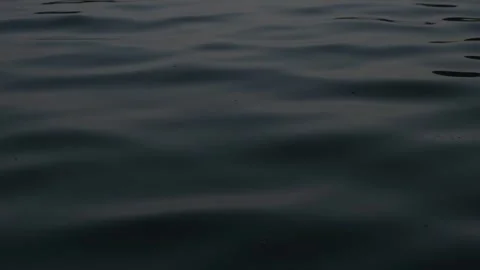Water surface ripples captured in sequence, showcasing fluid motion and texture Stock Footage 320099608