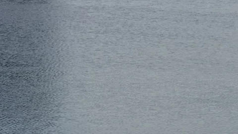 Water surface with ripples Stock Footage 320004212