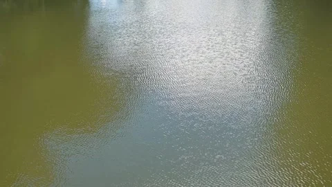 The water surface ripples as light reflections create patterns across its 스톡 동영상 344527400