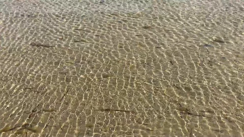 Water surface ripples at sand beach Stock Footage 95755604