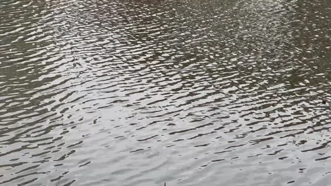 Water Surface with Ripples Texture Background 動画素材 331469730