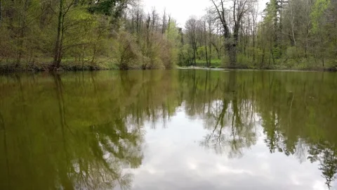 A water surface rippling in the woods in cloudy day Stock Footage 260090032
