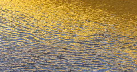 Water surface of river background 스톡 동영상 106312507