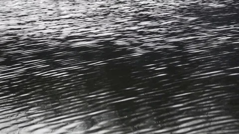 Water surface, river flow Stock Footage 84476341