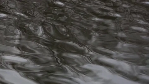 Water surface, river flow Stock Footage 84477903