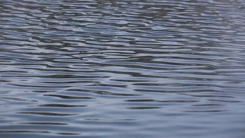 Water surface, river flow Stock Footage 84486907