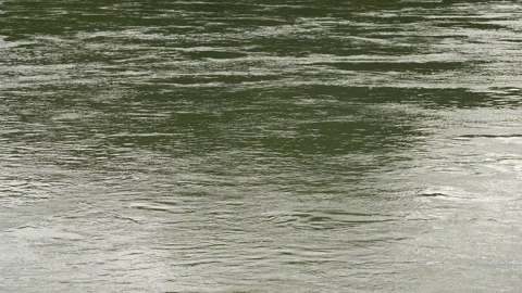 Water surface river Stock Footage 142145587
