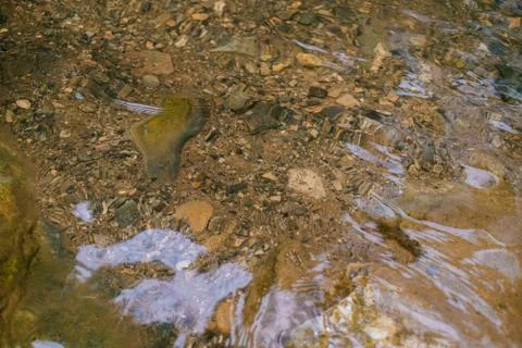 Water surface river Stock Photos