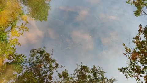 Water surface river reflecting trees and sky. Stock Footage 334759484