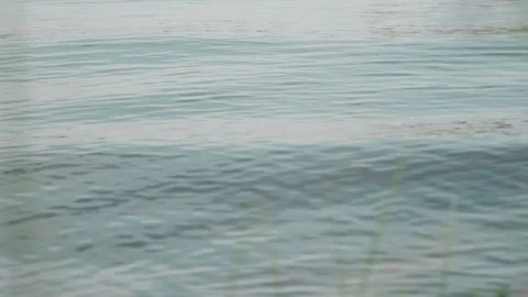 The water surface on the river with small waves floating towards the camera Video stock 253121883