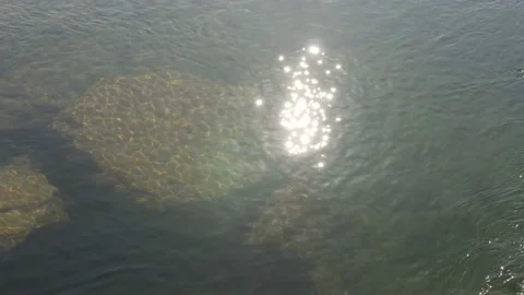 Water surface of river with sun beam reflection and stones underwater Stock Footage 104661499