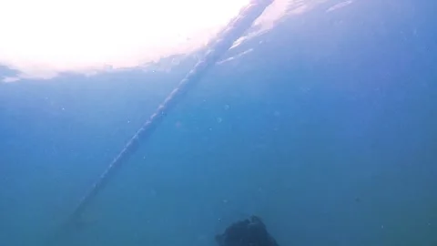 Water surface, rope, sunlight. Video stock 343350509