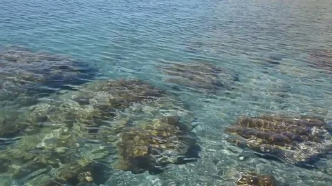 Water surface in the sea Stock Footage 75261337