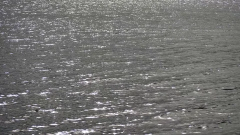 Water surface at Sea Stock Footage 91293047