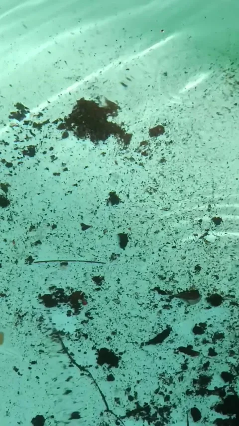 Water Surface Shaking Stock Footage 327613611