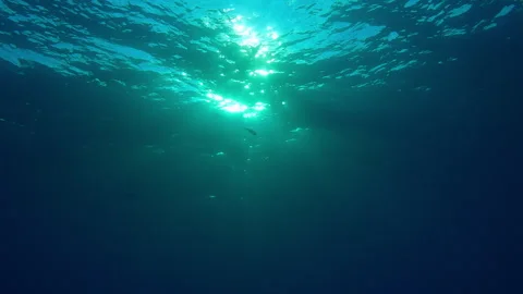 Water surface with shallow waves and bright sun, sunlight diffused through water Stock Footage 336564835