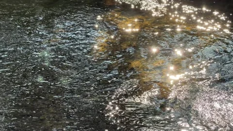 Water surface shimmering with sunlight reflections and ripples Stockbeeldmateriaal 333928409