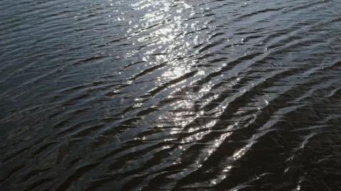 Water surface shimmers with sunlight. Vidéo 332472876