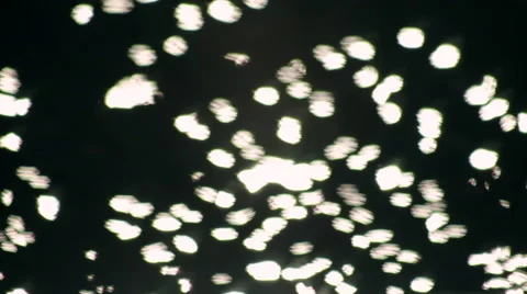 Water surface with shining sparkles. Beautiful natural pattern in sunny day. 库存影片 47012010