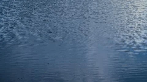 Water surface shows subtle wave patterns with smooth movement Stock Photos