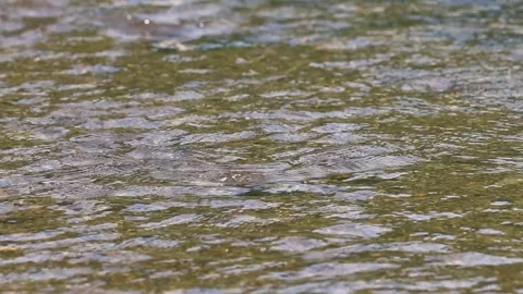 Water surface in slow motion Stock Footage 302731245